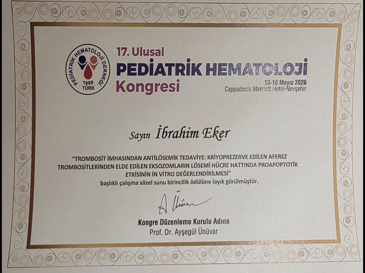 Öne çıkan görsel